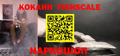 крисы Дубна