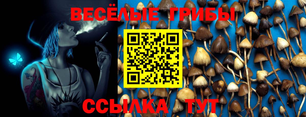 Назрань  Галлюциногенные грибы Magic Shrooms  Вход с VPN 